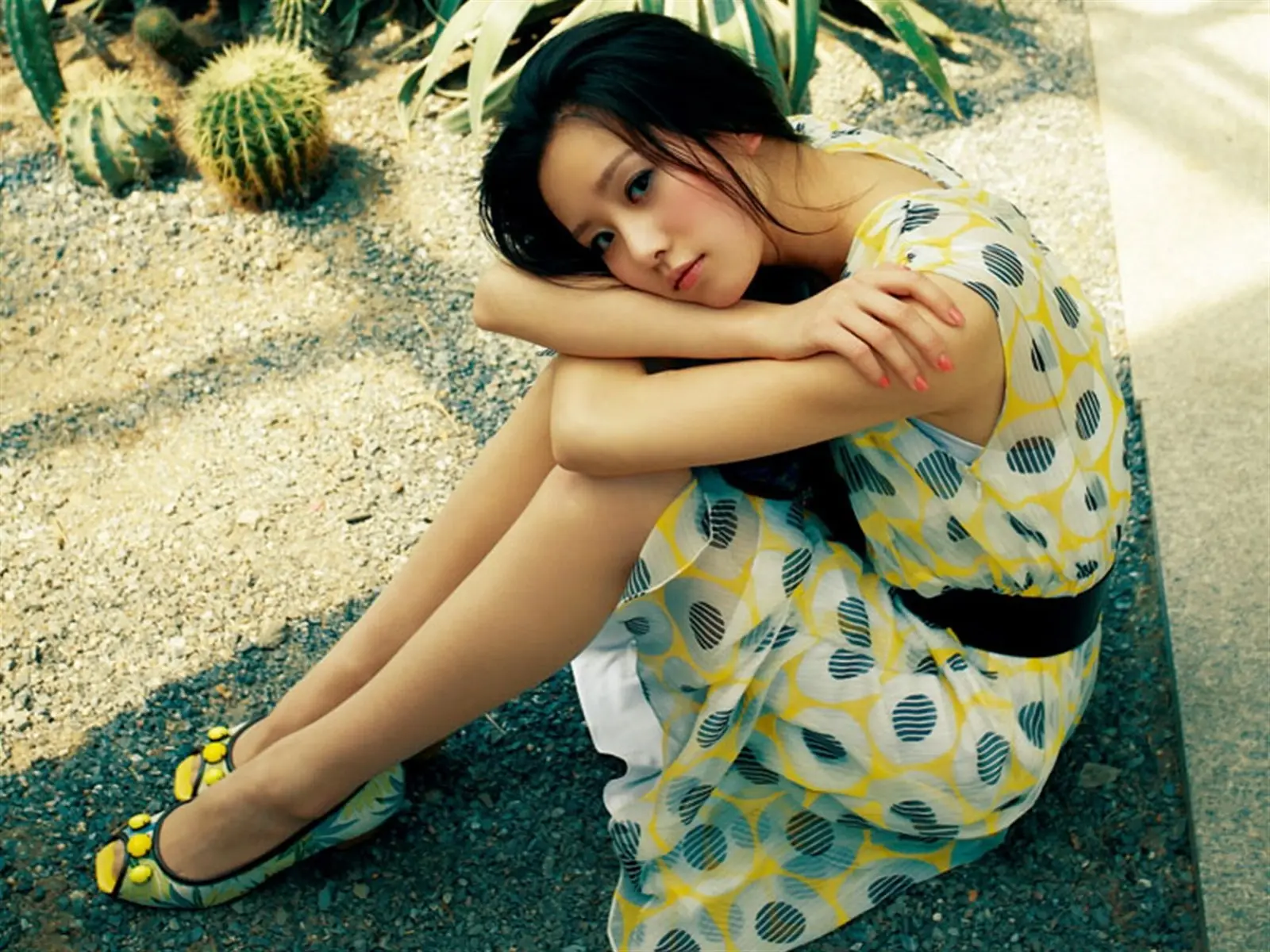 北京长沙伴游田聪的个人信息