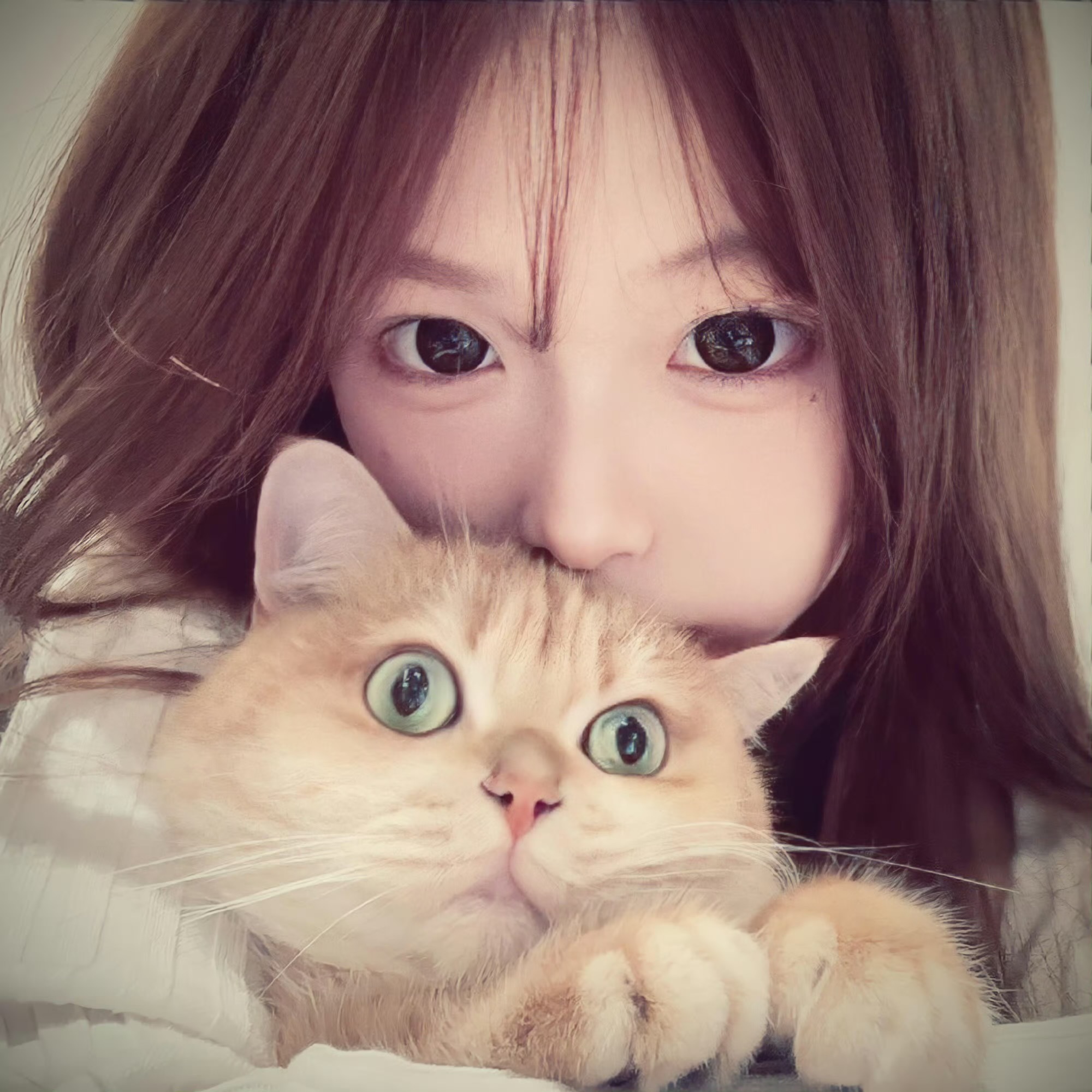 IMG_0119.JPG IMG_0119.JPG