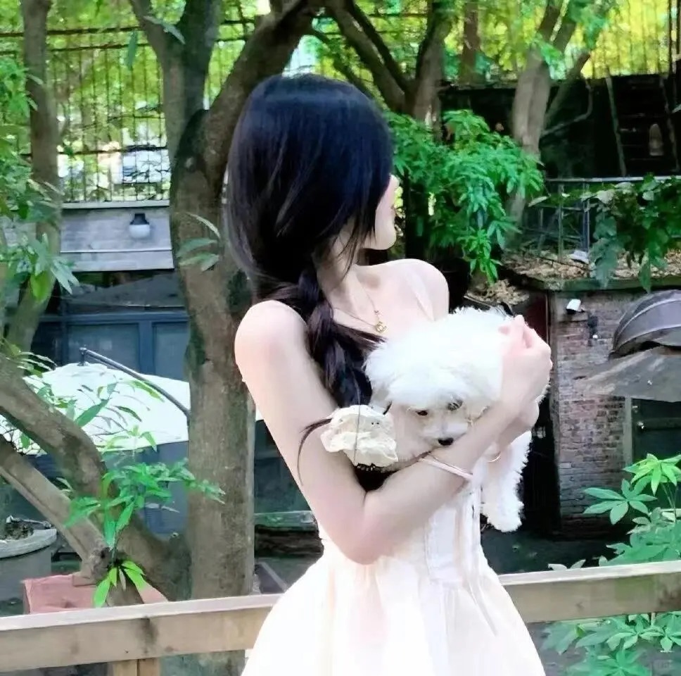 IMG_3728.JPG IMG_3728.JPG